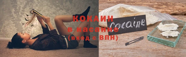твердый Арсеньев