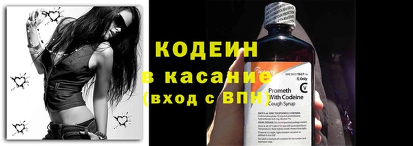 твердый Арсеньев