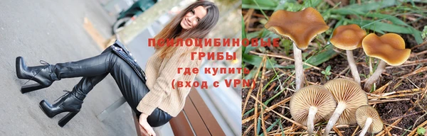 прущая мука Армянск