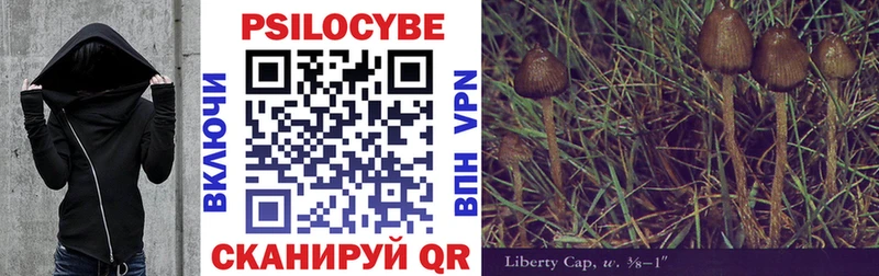 Псилоцибиновые грибы Psilocybine cubensis Балей